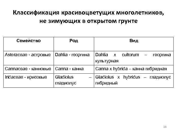 Классификация красивоцветущих многолетников, не зимующих в открытом грунте Семейство Род Вид Asteraceae - астровые