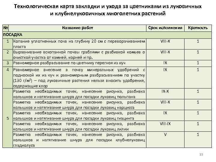 Технологическая карта ухода за растениями для дошкольников