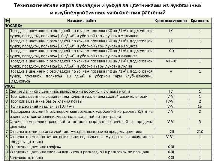 Технологическая карта ухода за растениями для дошкольников