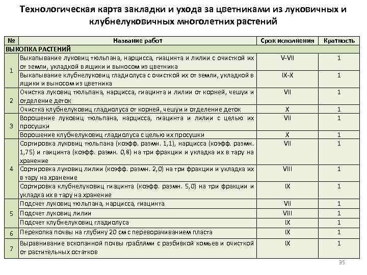 Технологическая карта закладки и ухода за цветниками из луковичных и клубнелуковичных многолетних растений №
