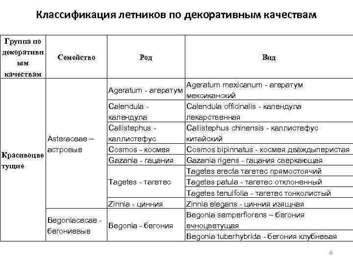 Классификация летников по декоративным качествам Группа по декоративн ым качествам Семейство Род Ageratum -