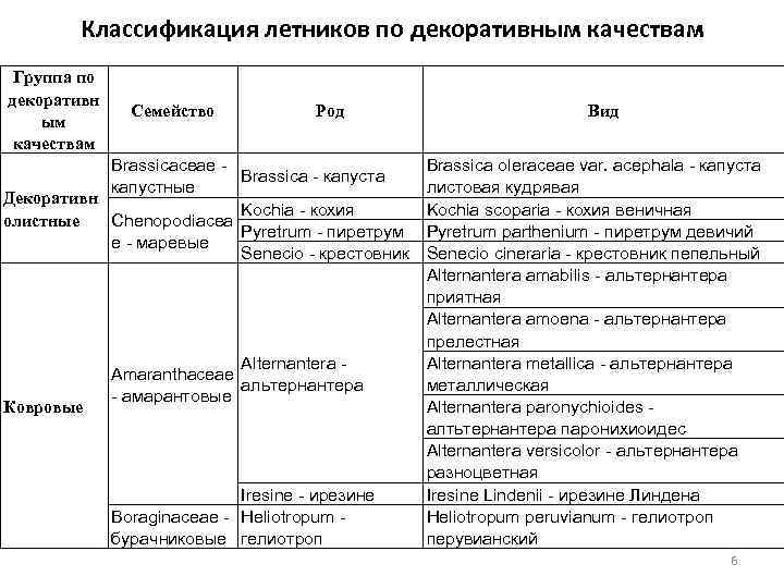 Классификация летников по декоративным качествам Группа по декоративн ым качествам Семейство Род Brassicaceae Brassica