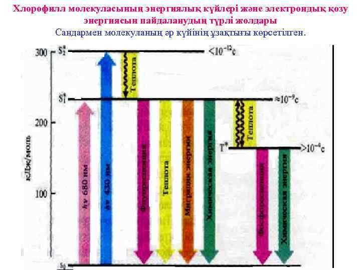 Хлорофилл молекуласының энергиялық күйлері және электрондық қозу энергиясын пайдаланудың түрлі жолдары Сандармен молекуланың әр