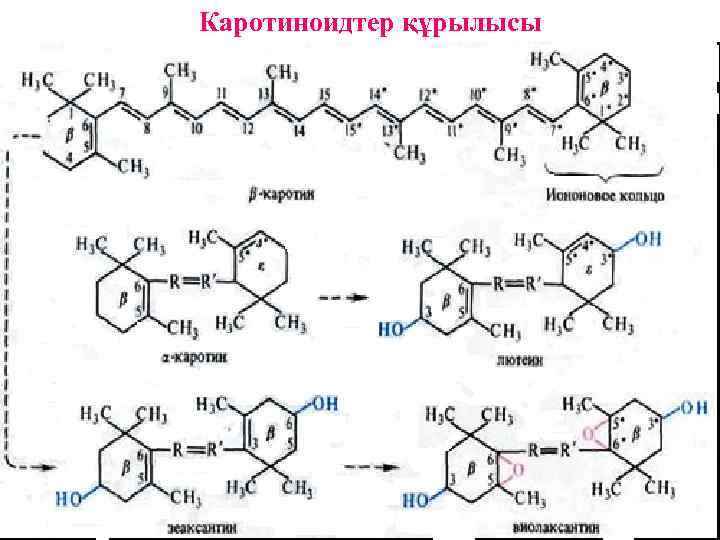 Каротиноидтер құрылысы 