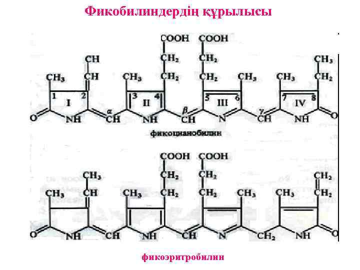 Фикобилиндердің құрылысы фикоэритробилин 