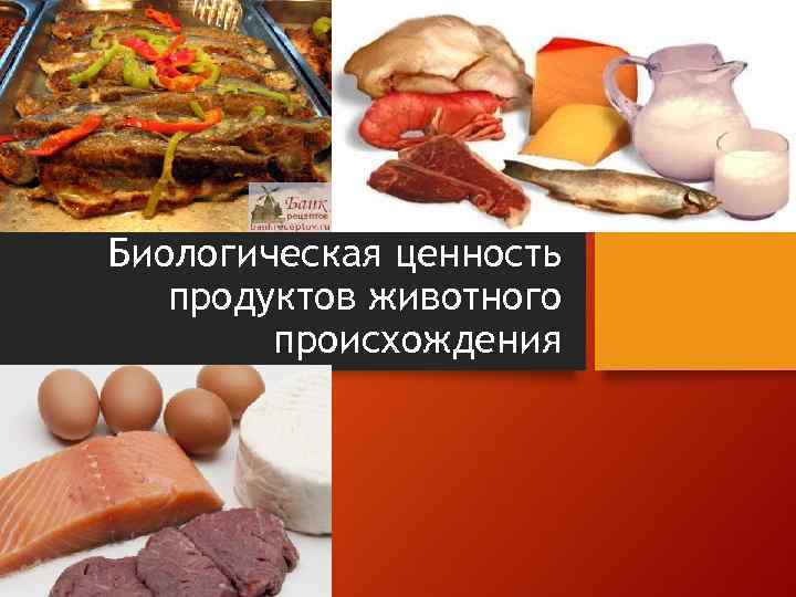 Биологическая ценность продуктов животного происхождения 