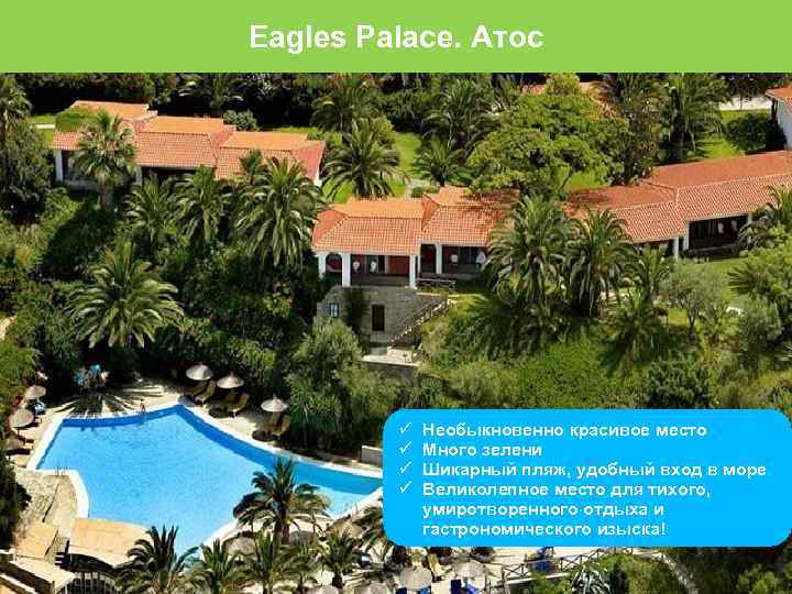 Eagles Palace. Атос Необыкновенно красивое место Много зелени Шикарный пляж, удобный вход в море