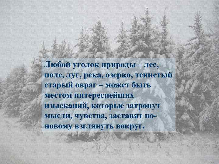 Любой уголок природы – лес, поле, луг, река, озерко, тенистый старый овраг – может