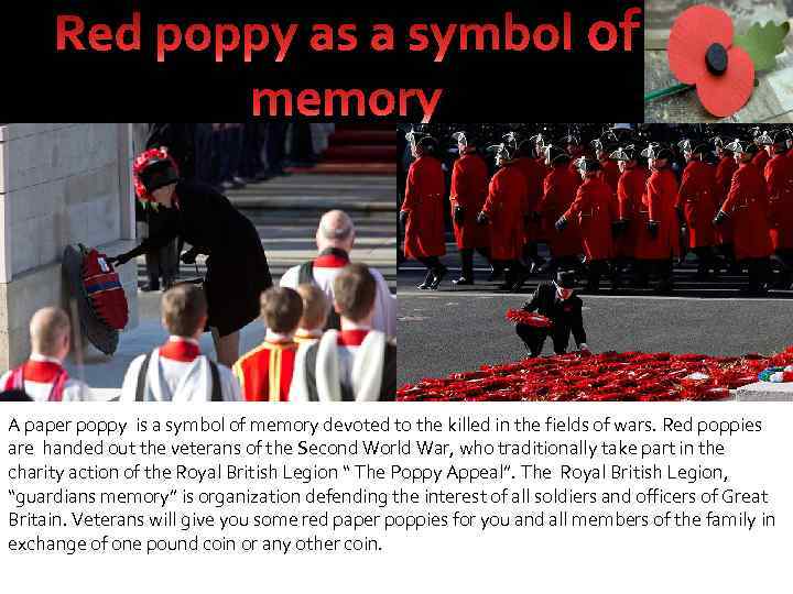 A paper poppy is a symbol of memory devoted to the killed in the