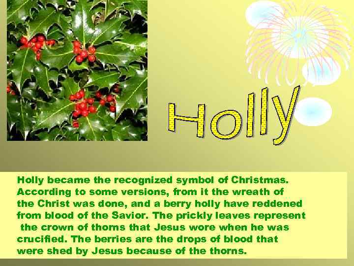 Holly became the recognized symbol of Christmas. According to some versions, from it the