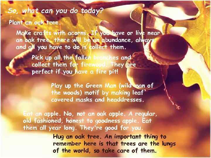 So, what can you do today? Plant an oak tree. Make crafts with acorns.