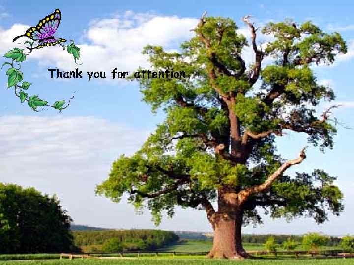 Thank you for attention 