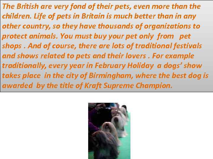 The British are very fond of their pets, even more than the children. Life