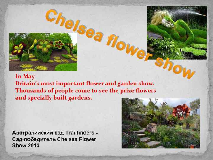 Ch els ea flow er s In May Britain’s most important flower and garden