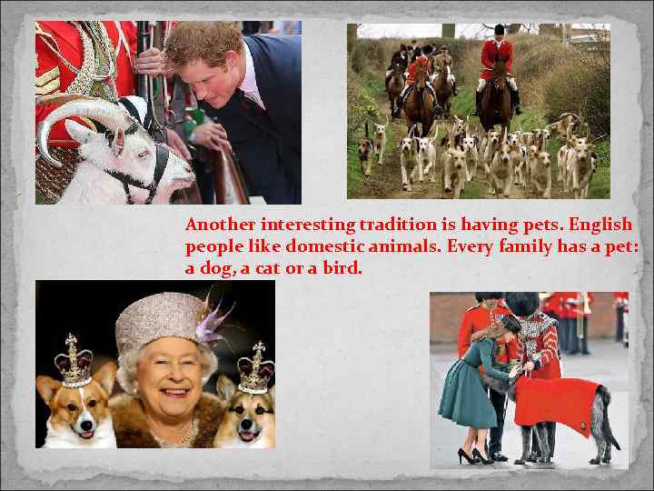Another interesting tradition is having pets. English people like domestic animals. Every family has