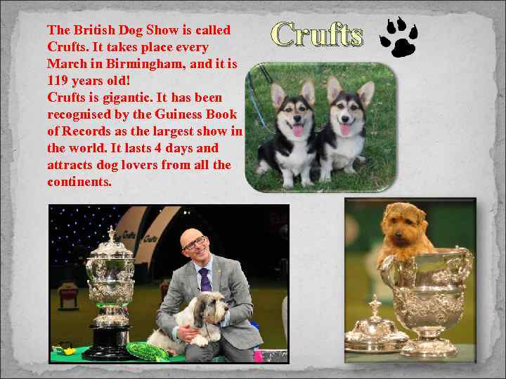 The British Dog Show is called Crufts. It takes place every March in Birmingham,