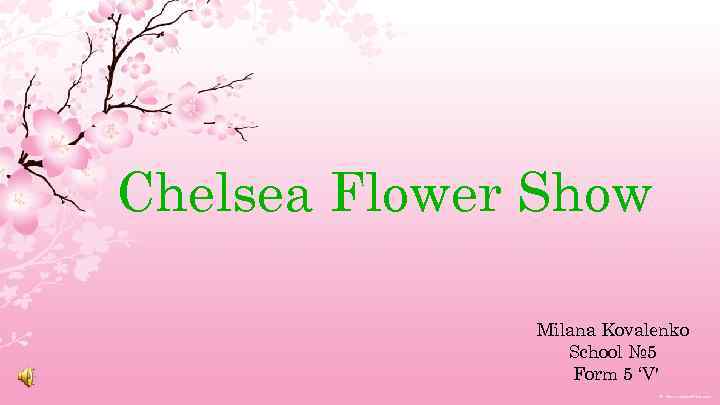 Chelsea Flower Show Milana Kovalenko School № 5 Form 5 ‘V' 