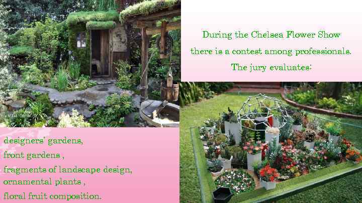 During the Chelsea Flower Show there is a contest among professionals. The jury evaluates: