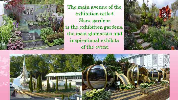 The main avenue of the exhibition called Show gardens is the exhibition gardens, the