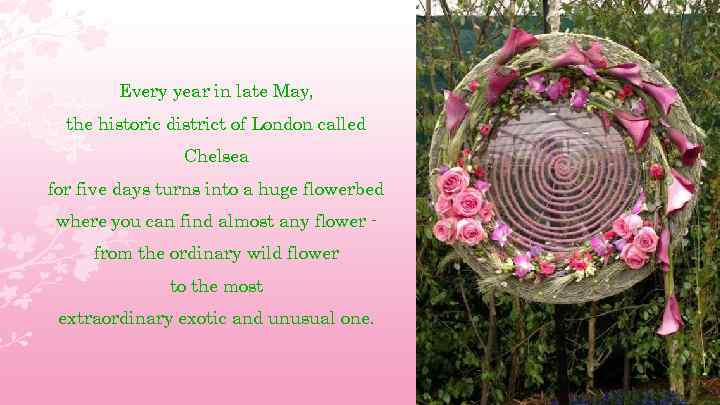 Every year in late May, the historic district of London called Chelsea for five