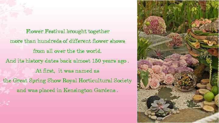 Flower Festival brought together more than hundreds of different flower shows from all over