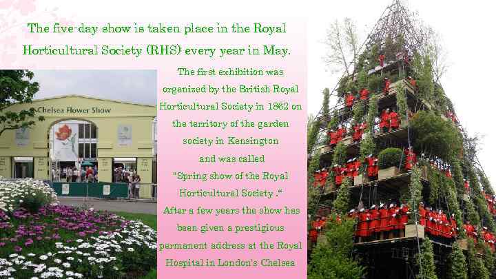 The five-day show is taken place in the Royal Horticultural Society (RHS) every year