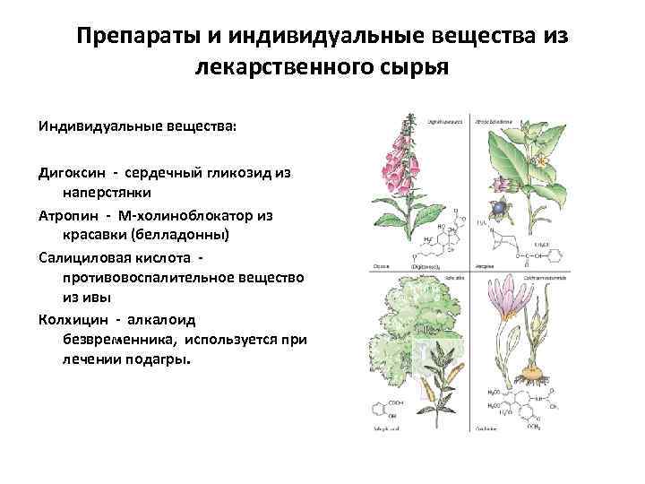 Препараты и индивидуальные вещества из лекарственного сырья Индивидуальные вещества: Дигоксин - сердечный гликозид из