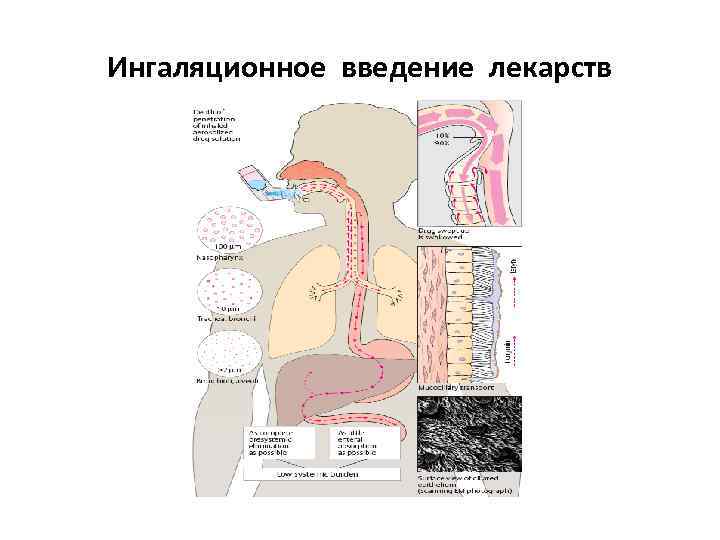 Ингаляционное введение лекарств 