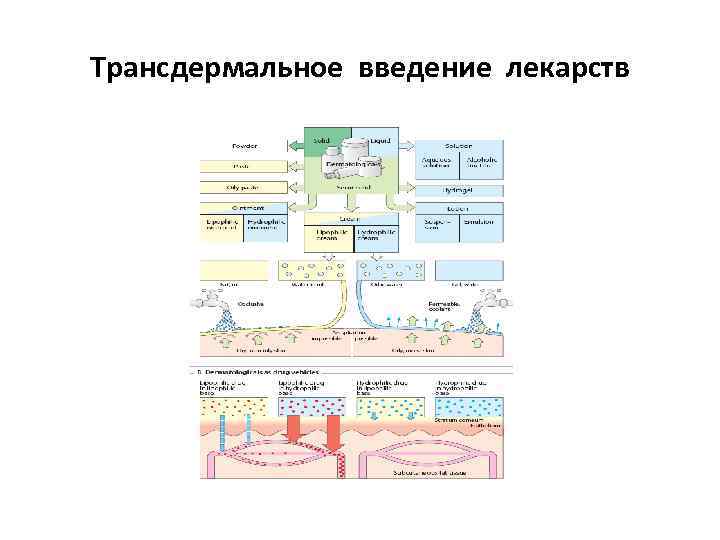 Трансдермальное введение лекарств 