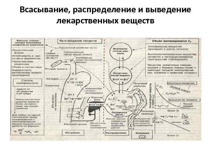 Всасывания веществ