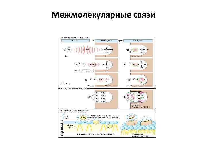 Межмолекулярные связи 