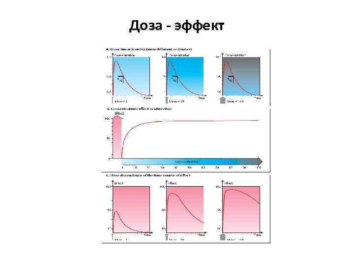 Доза - эффект 