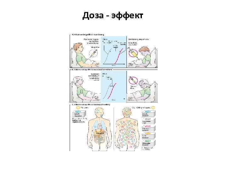 Доза - эффект 