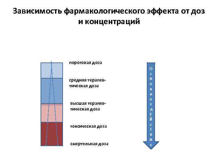 Зависимость фармакологического эффекта от доз и концентраций пороговая доза средняя терапевтическая доза высшая терапевтическая