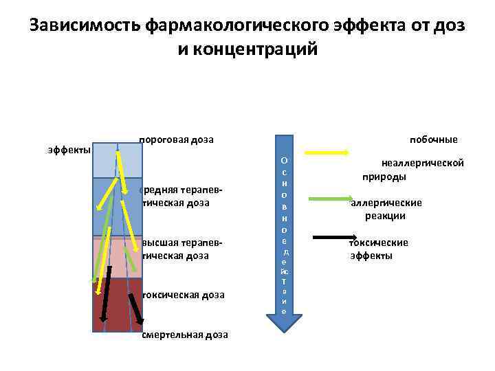 Зависимость фармакологического эффекта от доз и концентраций эффекты пороговая доза средняя терапевтическая доза высшая