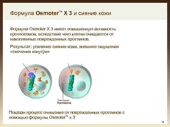 Формула Osmoter™ X 3 и сияние кожи Формула Osmoter X 3 имеет повышенную активность