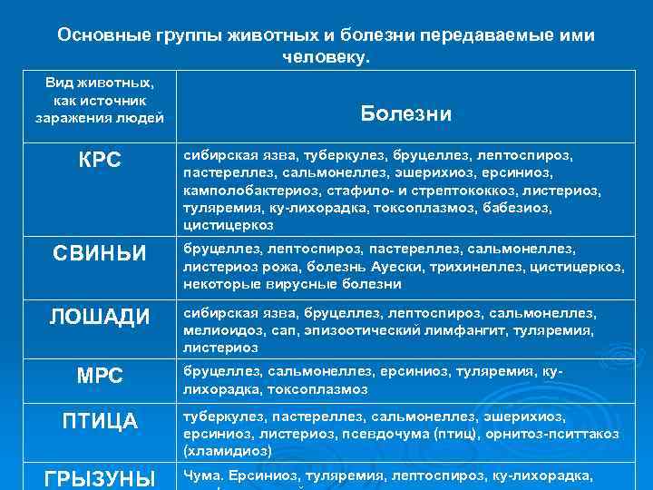 Основные группы животных и болезни передаваемые ими человеку. Вид животных, как источник заражения людей