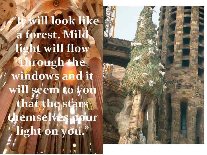 . “It will look like a forest. Mild light will flow through the windows