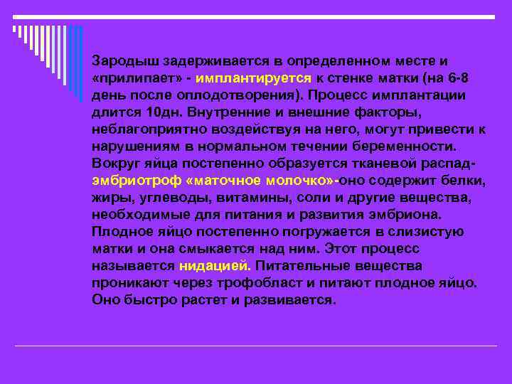 Зародыш задерживается в определенном месте и «прилипает» - имплантируется к стенке матки (на 6