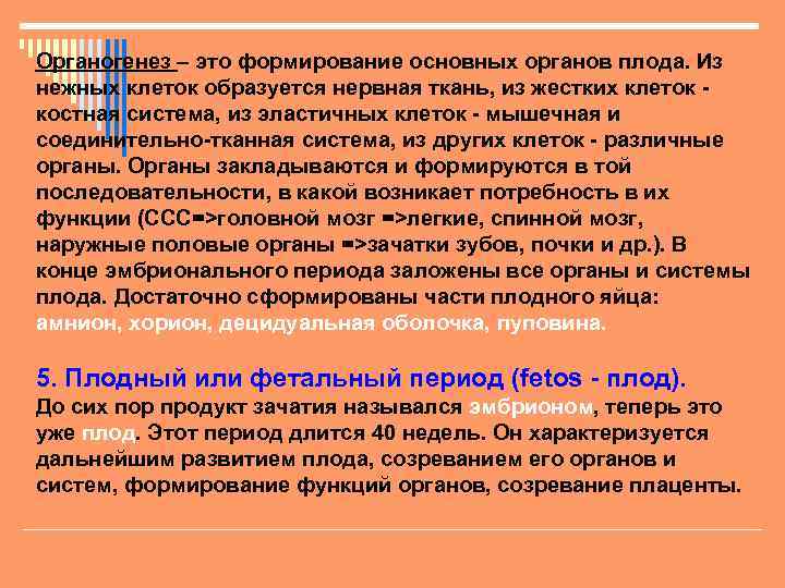 Органогенез – это формирование основных органов плода. Из нежных клеток образуется нервная ткань, из