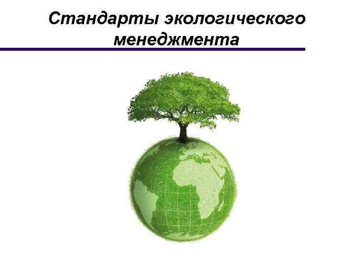Стандарты экологического менеджмента 