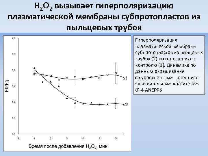 H 2 O 2 вызывает гиперполяризацию плазматической мембраны субпротопластов из пыльцевых трубок Гиперполяризация плазматической