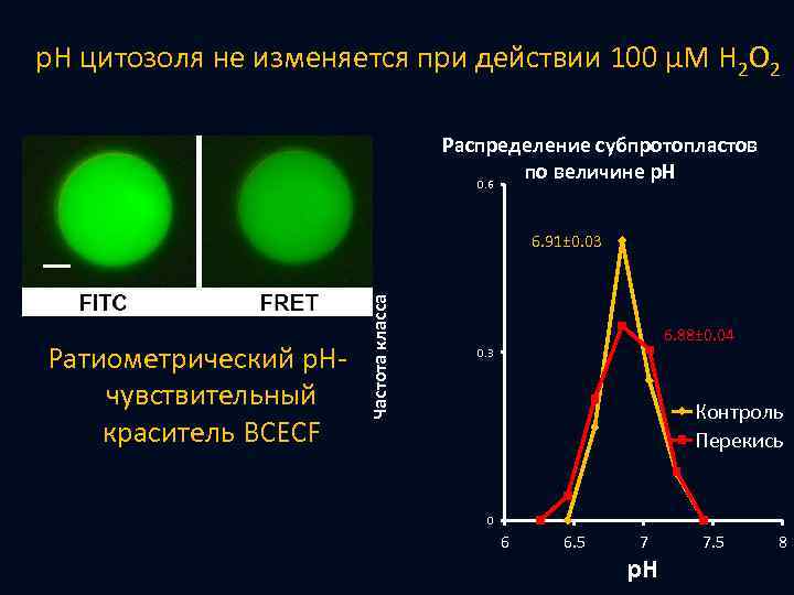 p. H цитозоля не изменяется при действии 100 μМ H 2 O 2 Распределение