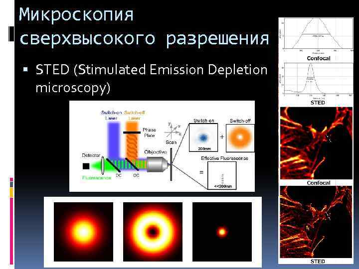 Микроскопия сверхвысокого разрешения STED (Stimulated Emission Depletion microscopy) 