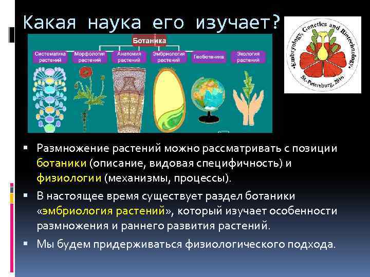 Какая ботаническая наука изучает опыление. Какая наука изучает размножение. Изучение растений наука. Наука изучающая процесс размножения растений. Какие науки в ботанике.