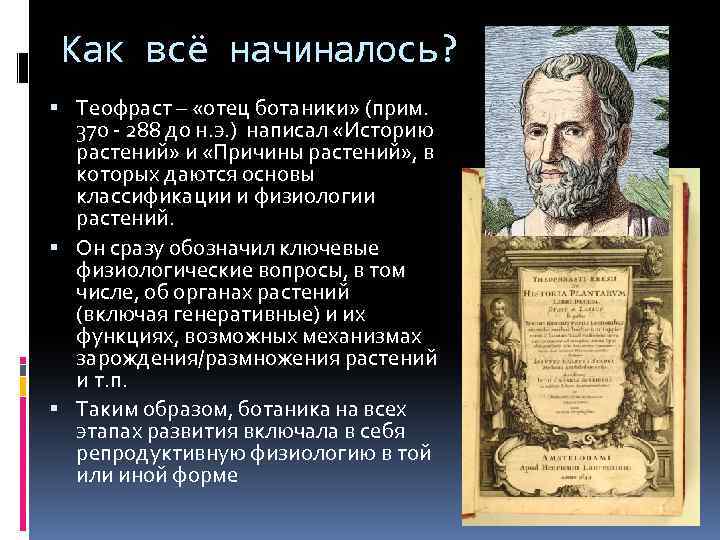 Как всё начиналось? Теофраст – «отец ботаники» (прим. 370 - 288 до н. э.