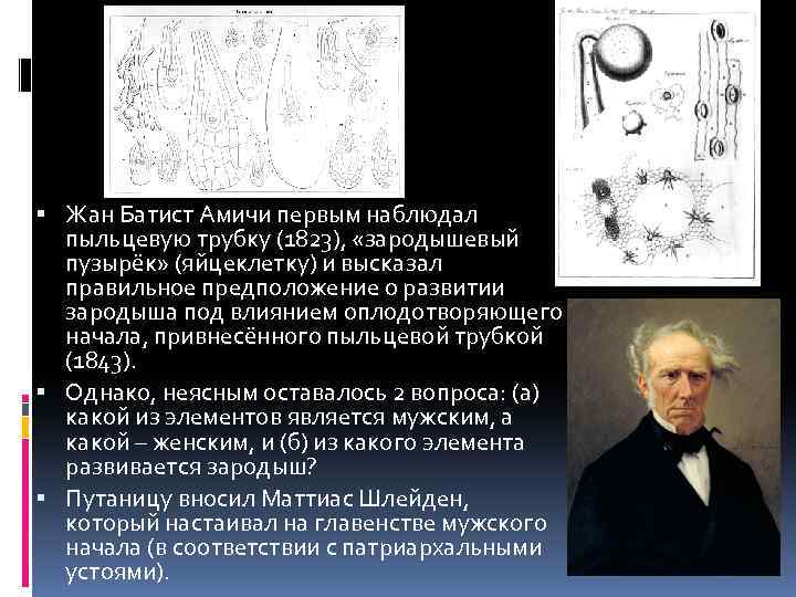  Жан Батист Амичи первым наблюдал пыльцевую трубку (1823), «зародышевый пузырёк» (яйцеклетку) и высказал