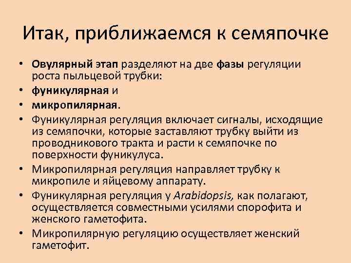 Итак, приближаемся к семяпочке • Овулярный этап разделяют на две фазы регуляции роста пыльцевой