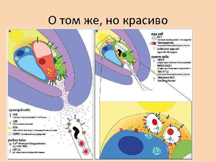 О том же, но красиво 