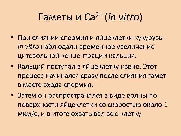 Гаметы и Са 2+ (in vitro) • При слиянии спермия и яйцеклетки кукурузы in